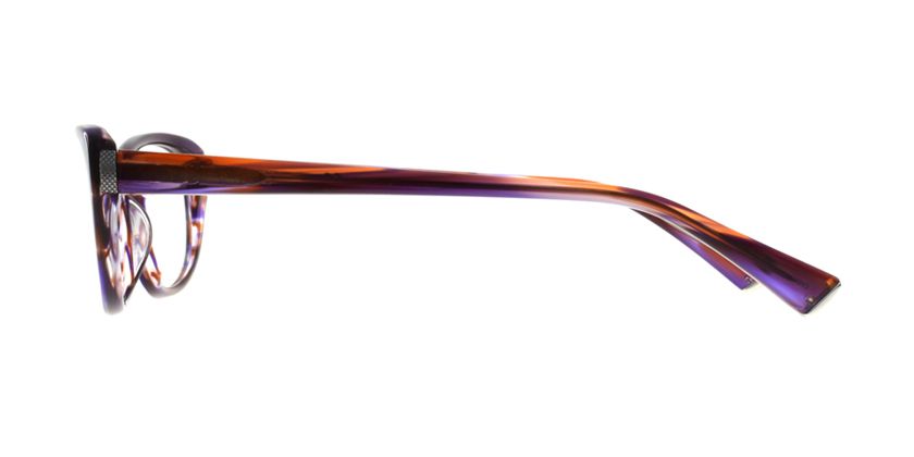 Anson Benson MT2431F9421H Eyeglasses - Side View
